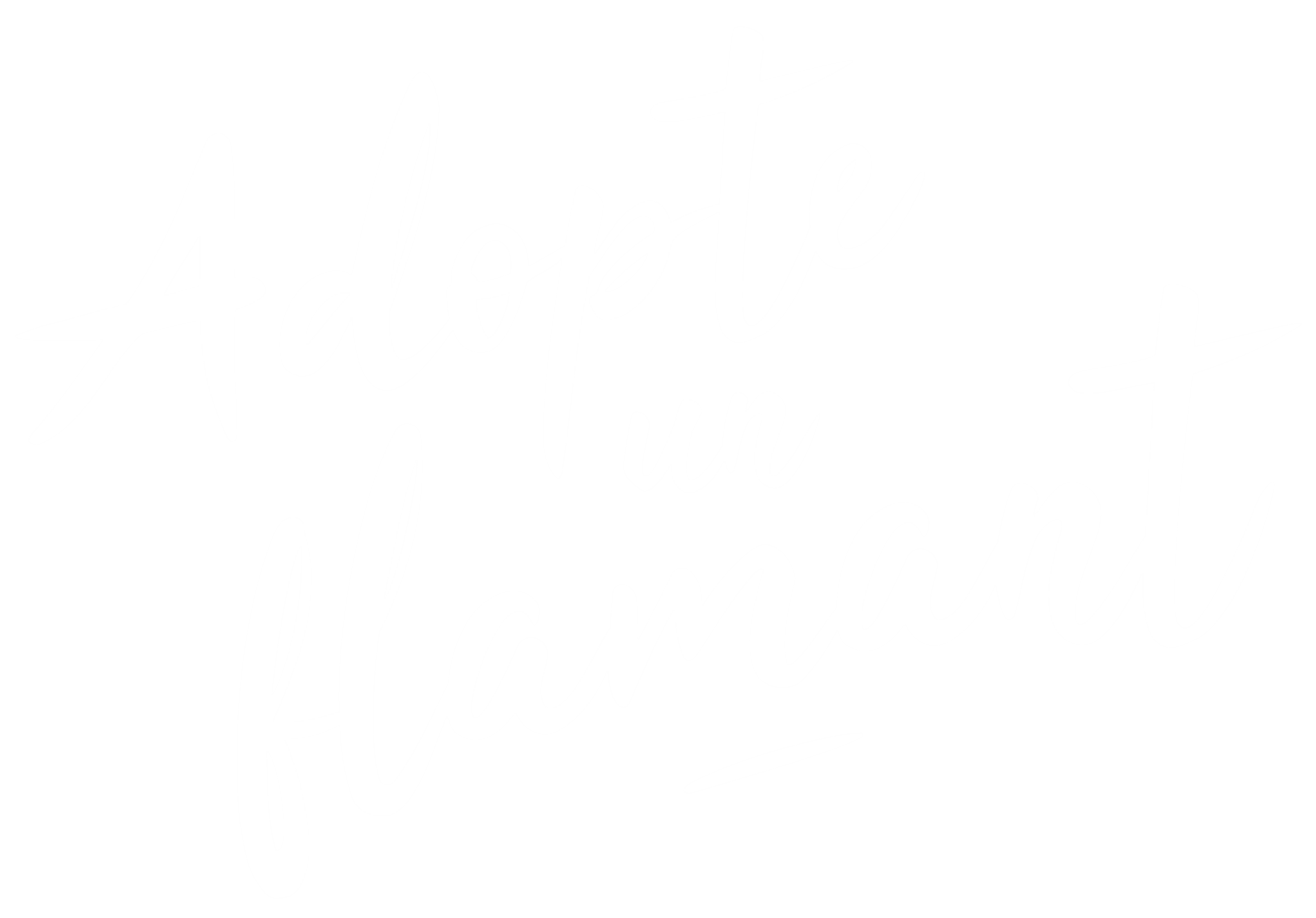 Mon Flamant