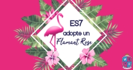 ES7-adopte-Nossa