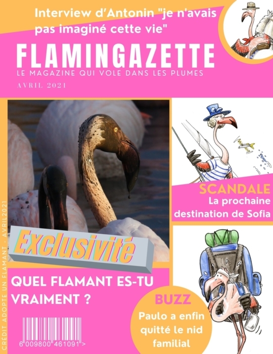 Magazine Couverture-quizz flamant