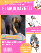 magazine couvertuure quizz