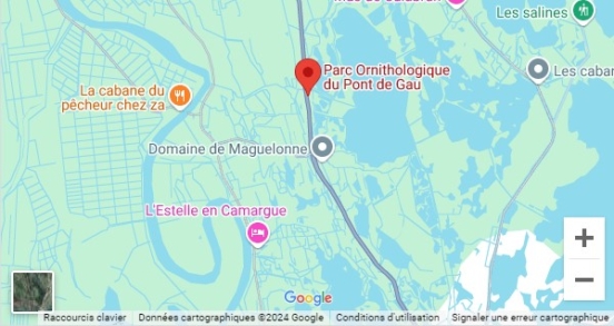 Carte-Google