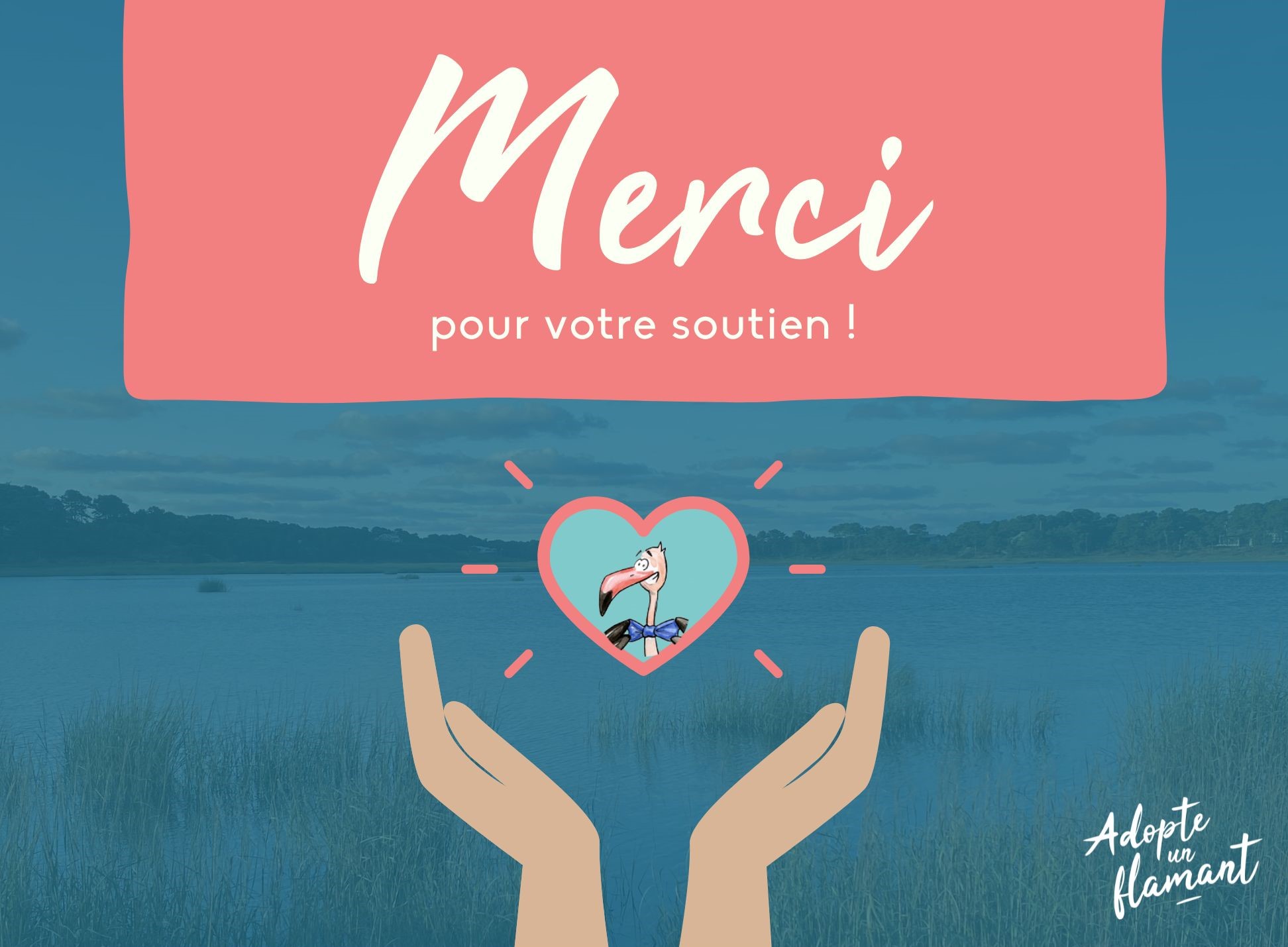 Merci - 1