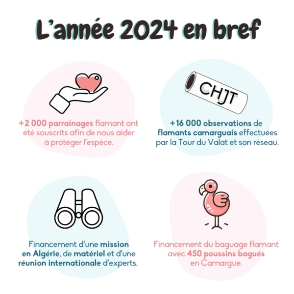 2024-en-bref_adopte-un-flamant