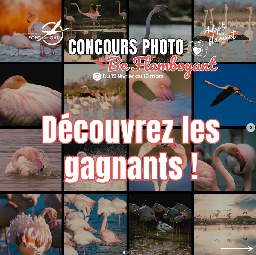 concours-photo-pdg-2025