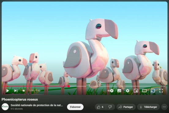 vignette-video-mopa-flamant-rose-snpn
