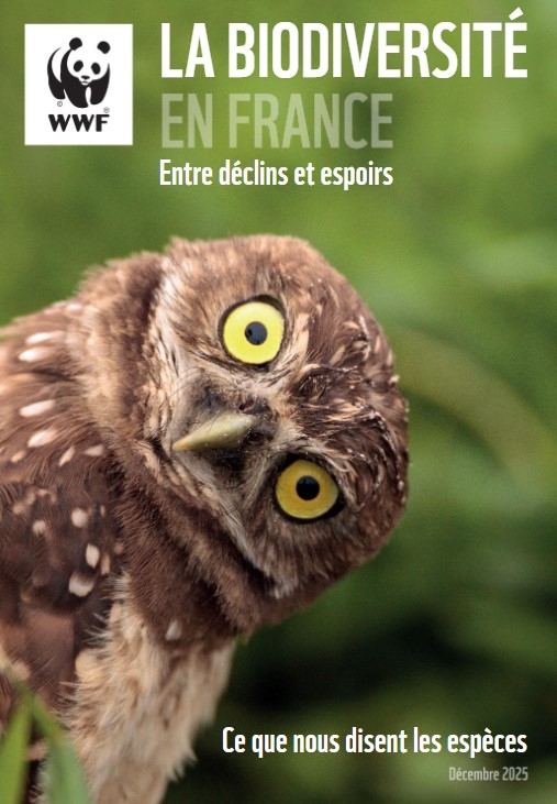 rapport-biodiv-2025_wwf