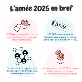 Infographie vœux 2026 - A1F