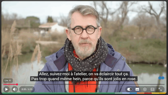video-jamy