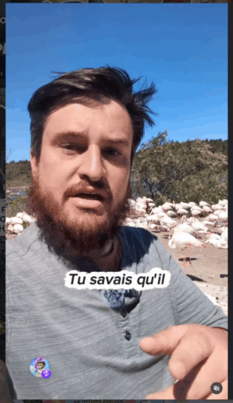 antenne-zoologie