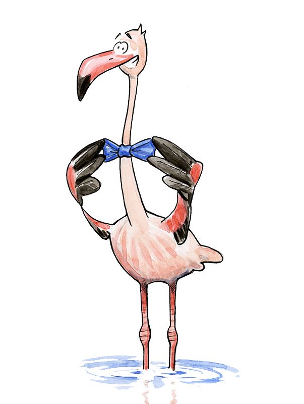 illustration-offres